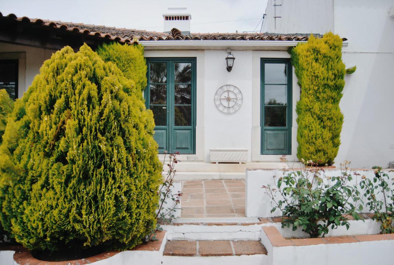 Quinta De Sao Pedro De Tomarヴィラ エクステリア 写真