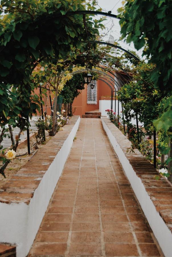 Quinta De Sao Pedro De Tomarヴィラ エクステリア 写真
