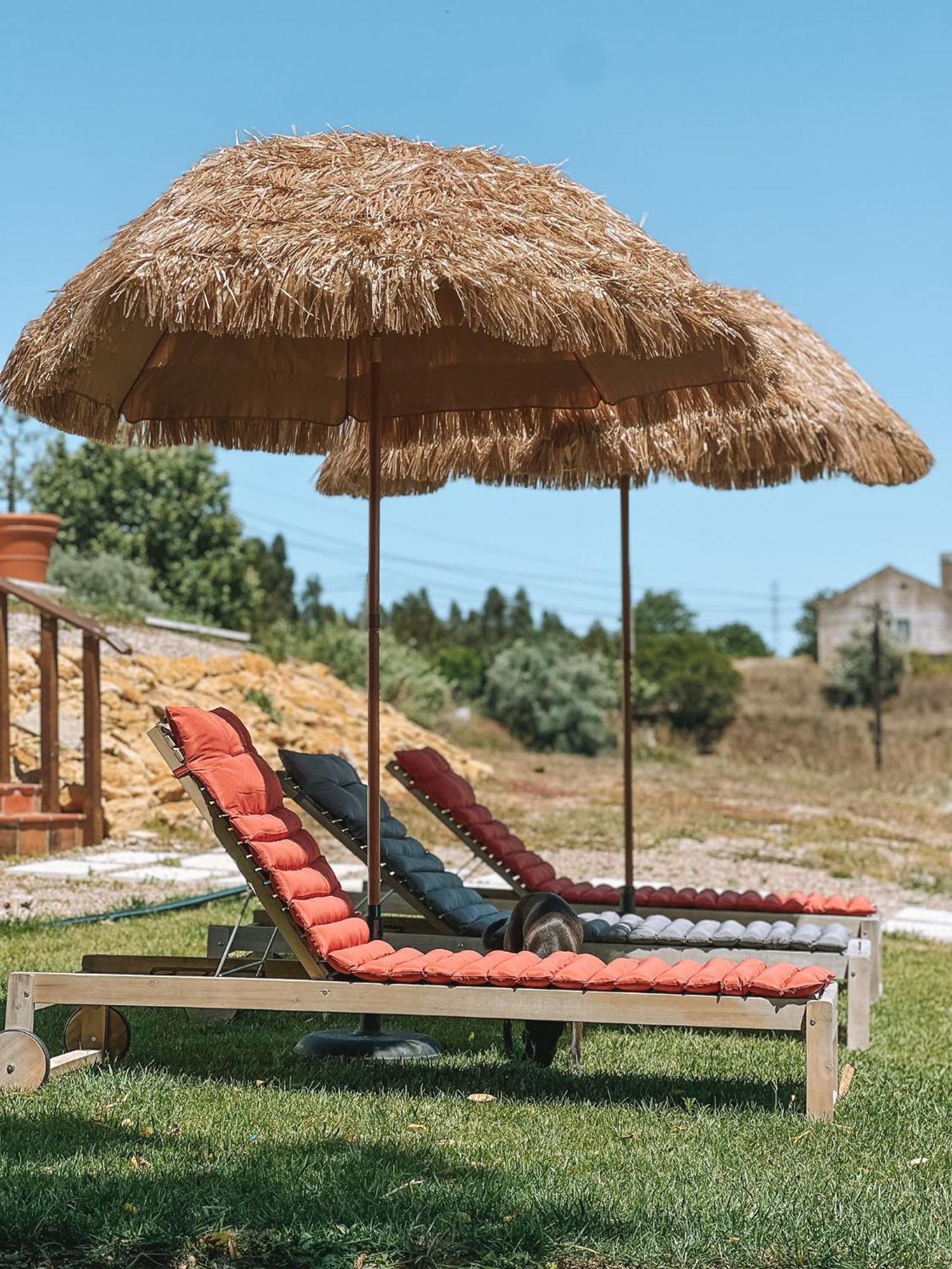 Quinta De Sao Pedro De Tomarヴィラ エクステリア 写真