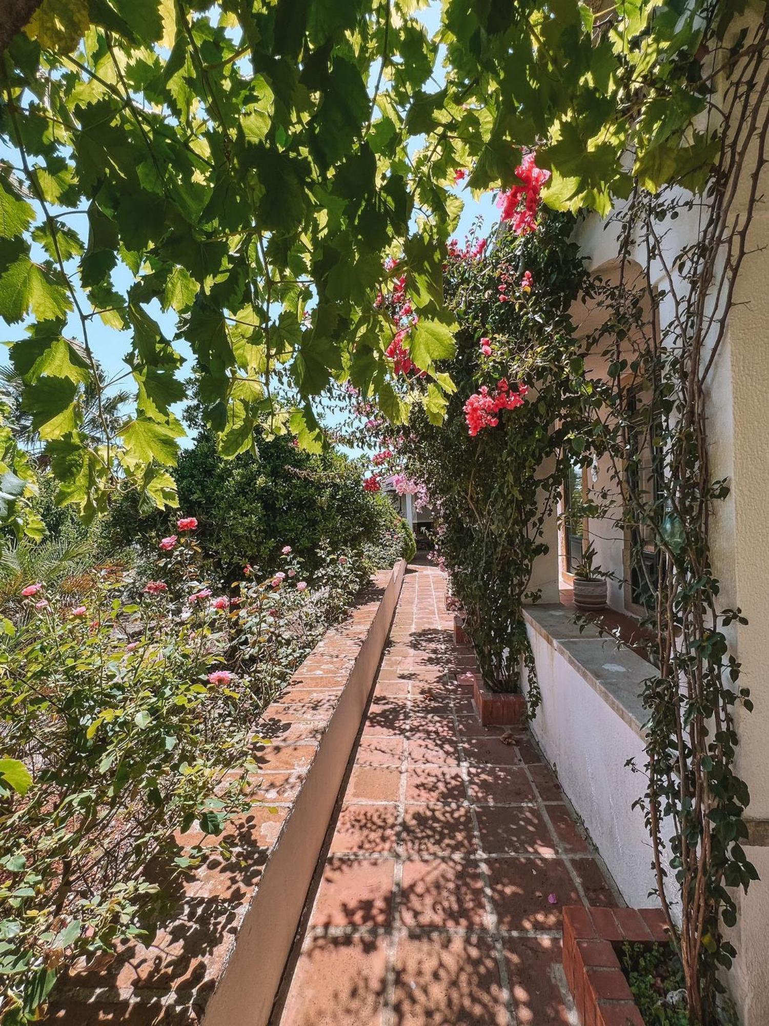 Quinta De Sao Pedro De Tomarヴィラ エクステリア 写真